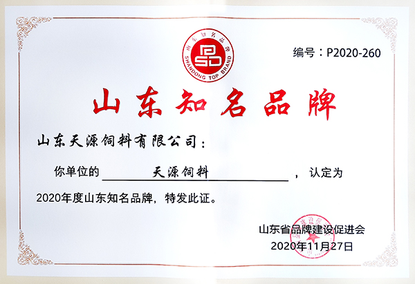 山东知名品牌