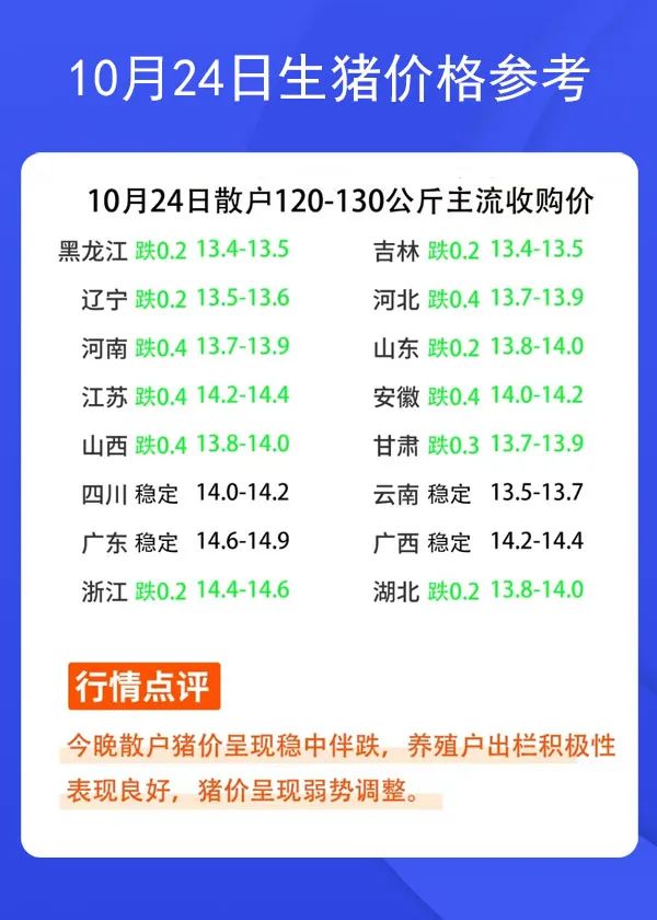 10月24日生猪价格参考
