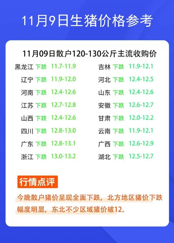 11月9日生猪价格参考