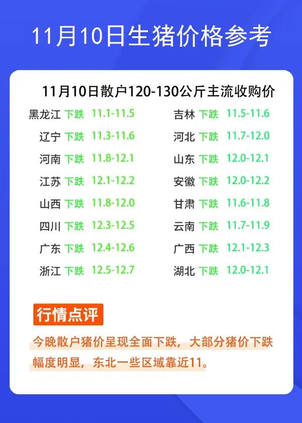11月10日生猪价格参考