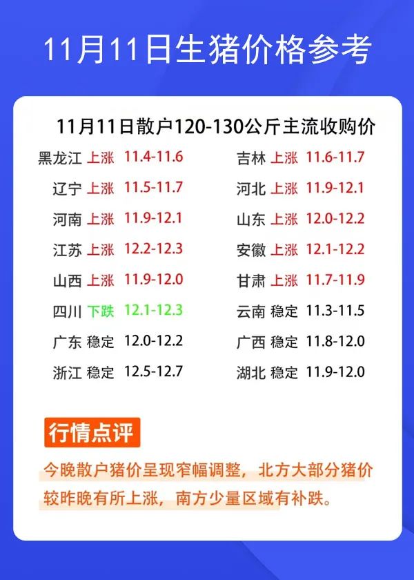 11月11日生猪价格参考