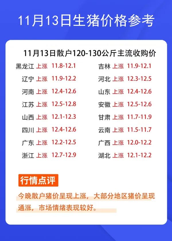 11月13日生猪价格参考