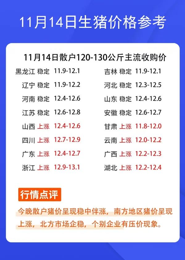 11月14日生猪价格参考