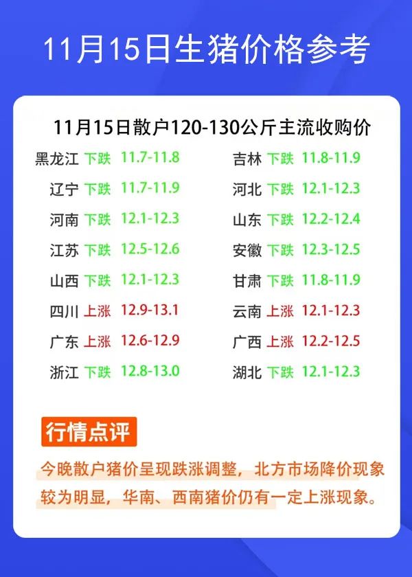 11月15日生猪价格参考