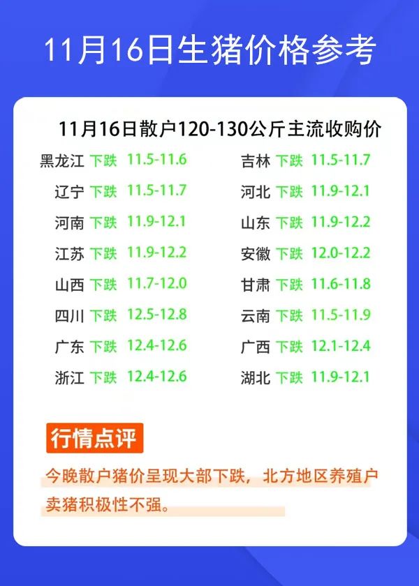 11月16日生猪价格参考