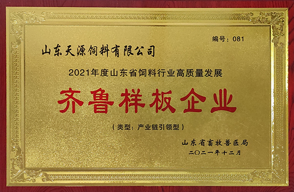 齐鲁样板企业