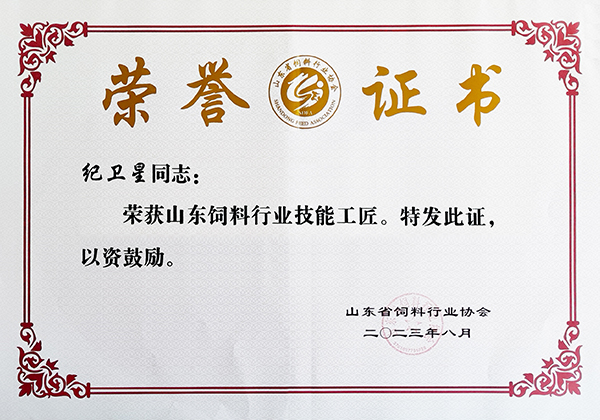 纪卫星山东KY.COM行业技能工匠