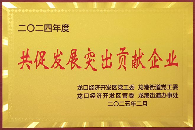 共促进发展突出贡献企业